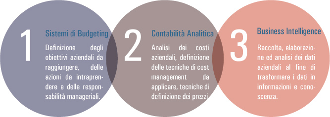 grafico_controllo_gestione